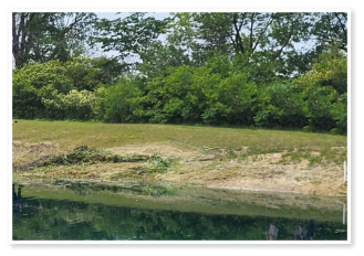 Our pond here at Wooded Acres Campground